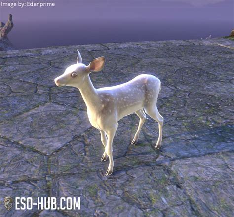 Palefrost Elk Fawn Eso Hub Elder Scrolls Online