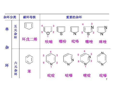 杂环化合物的分类和命名word文档在线阅读与下载无忧文档