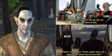 Elder Scrolls 9 Hilarious Dunmer Memes