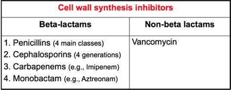 Obhi Beta Lactam Antibiotics Penicillin Flashcards Quizlet