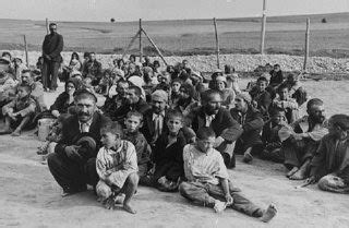 Genocide Of European Roma Gypsies Holocaust Encyclopedia