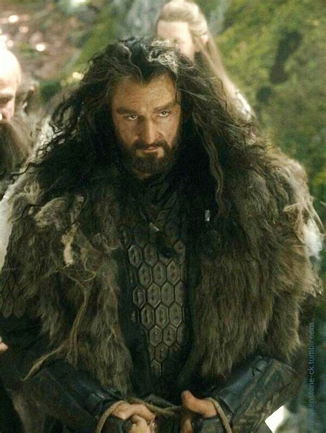 Richard Armitage As Thorin Oakenshield In The Hobbit The Hobbit