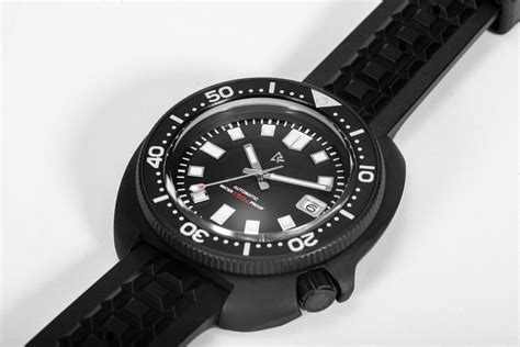 Retangula Rdunae Black Pvd Willard Turtle Nh A Diver