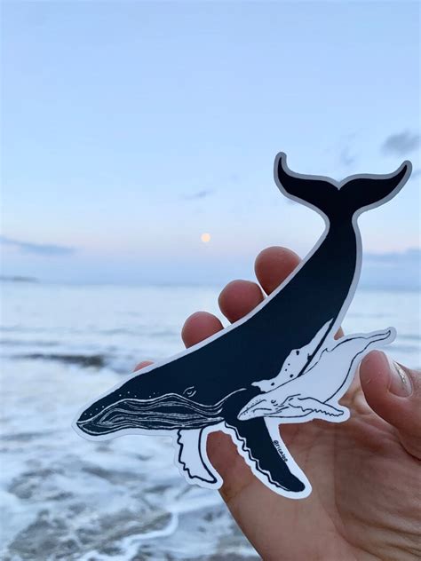 Humpback Whale Vinyl Sticker Ocean Art Mama And Baby Mammal Etsy