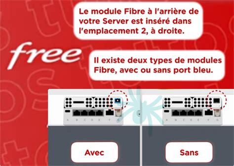 Freebox Delta Le Module Fibre En Photos Le Sesame Pour Votre Future