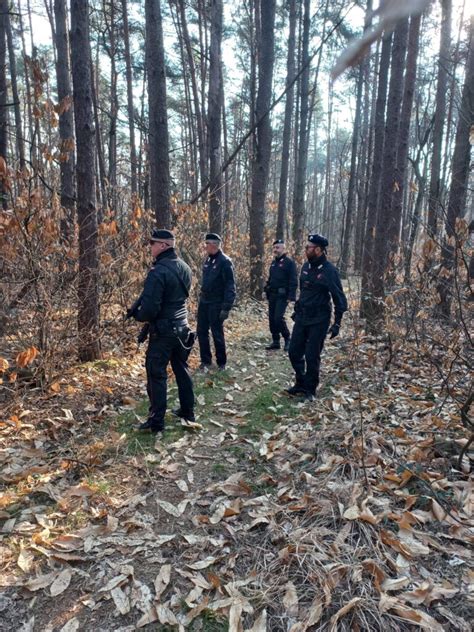 Boschi Di Bregnano Smantellato Dai Carabinieri Un Bivacco Della Droga