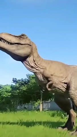 Um Dinossauro Rex Foi Transportado Para Um Lugar Onde Teria Uma Luta