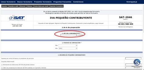 Como Llenar El Formulario Como Pequeño Contribuyente En Declaraguate