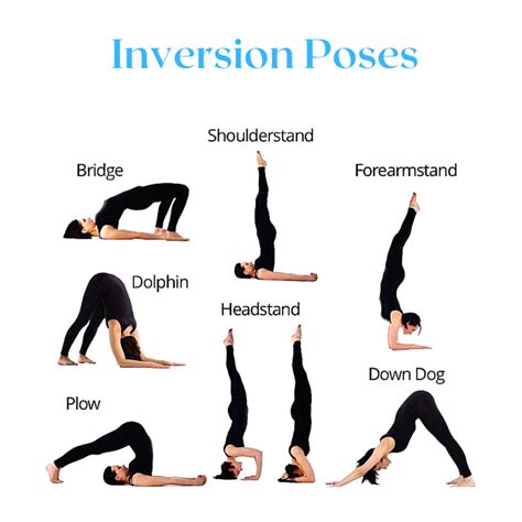 Inversion Challenge Physio