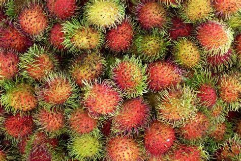 5 Manfaat Buah Rambutan Untuk Kesehatan Dan Efek Sampingnya Yang Perlu