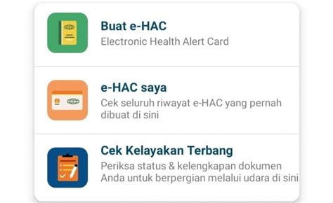 Jadi Syarat Mudik Naik Pesawat Begini Cara Isi E Hac Topcareerid