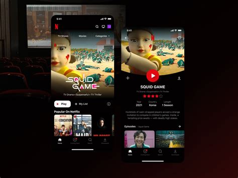 Netflix App Redesign Behance