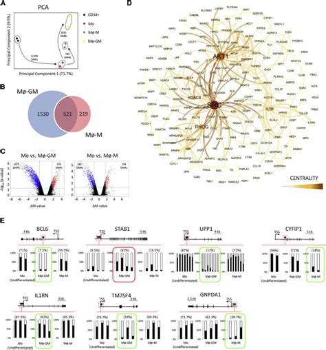 Signal Integration And Transcriptional Regulation Of The Inflammatory