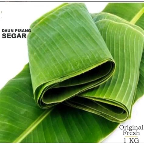 Jual 1ikat Daun Pisang Segar 1kg 500gr 250gr Shopee Indonesia