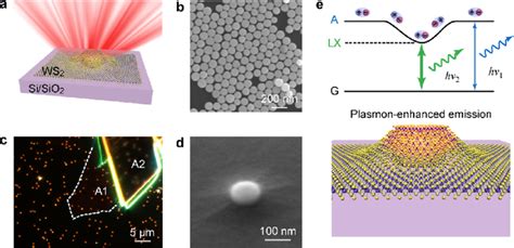 Experimental Design For Both Generation And Detection Of The