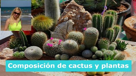 C Mo Hacer Una Composici N De Cactus Y Plantas Crasas Youtube