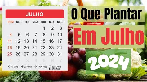 O QUE PLANTAR EM JULHO DE 2024 VIDA VERDE SISTEMAS SUSTENTÁVEIS