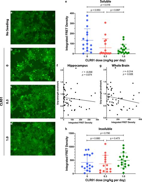 Clr01 Treatment Reduces Tau Seeding Of Hippocampal Brain Extracts In