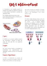 Resumo Sobre O Dna Mitocondrial Resumos Biologia Docsity