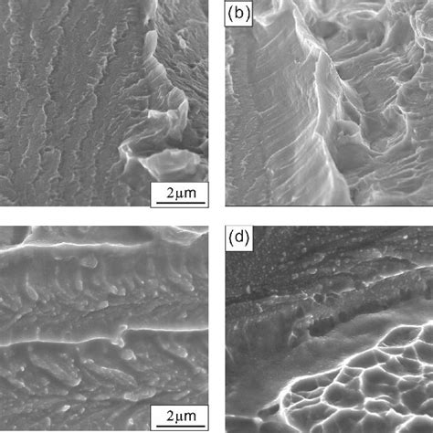 The Higher Magnification Sem Fractographs Of Ti Snxcu Alloys A As