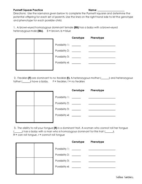 Practice With Punnett Squares Worksheet