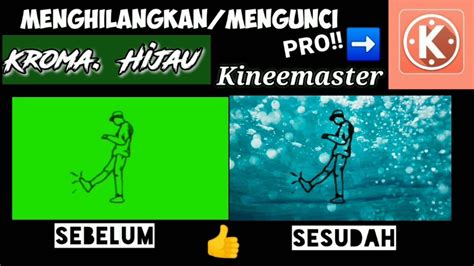 Cara Edit Kunci Kroma Divideo Green Screen Menggunakan Kineemaster Youtube