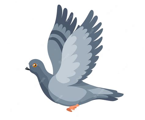 Pigeons Clip Art Library