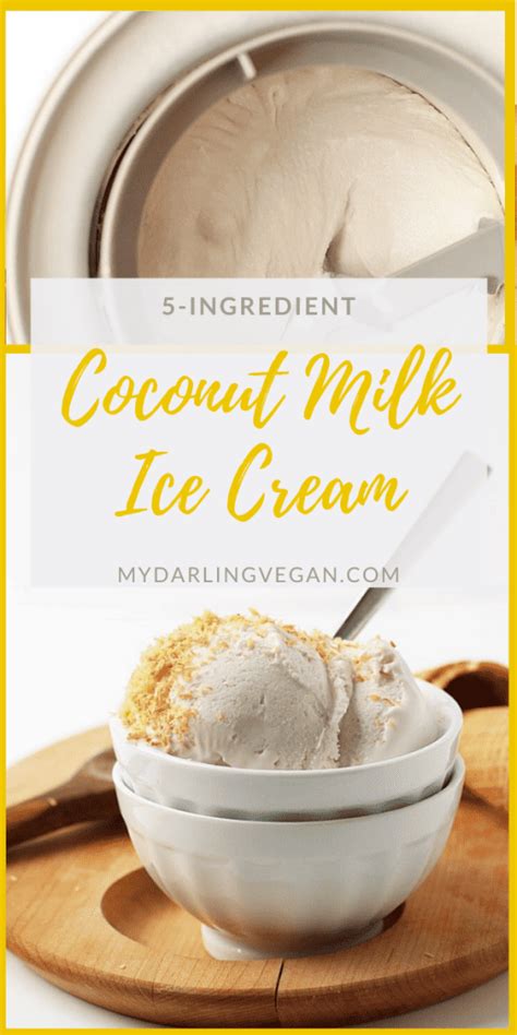 5-Ingredient Coconut Milk Ice Cream - My Darling Vegan
