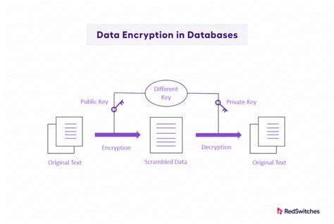 Types Of Database Encryption Best Practices For Securing Your Data