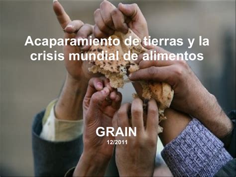 Grain Acaparamiento De Tierras Y Crisis Alimentaria Global