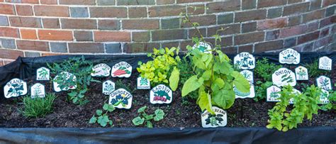 Vintage Vegetable or Herb Garden Sign Set - DGA by Tina Bird