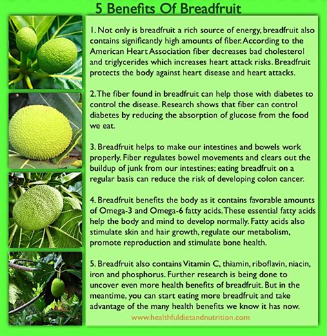 Benefits Of Breadfruit Health Benefits