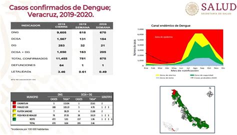 Veracruz Segundo Lugar A Nivel Nacional Con Casos De Dengue Xeu