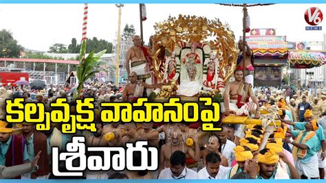 Tirumala Srivari Brahmotsavam 2022 Kalpavruksha Vahana Seva V6 News