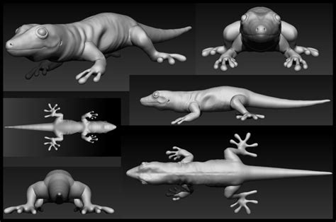 Render comp of gecko model. | List of animals, Lion sculpture, Animals