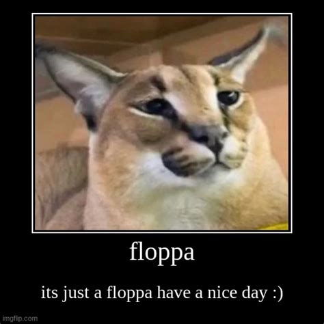 Floppa Imgflip
