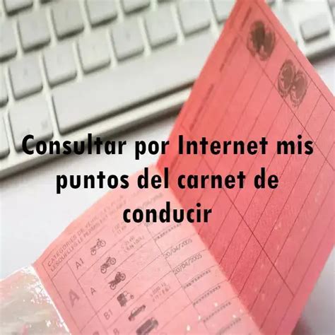 ¿cómo Consultar Por Internet Mis Puntos Del Carnet De Conducir 2024