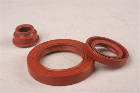 Overview Of Radial Seals Types And Advantages Dcw