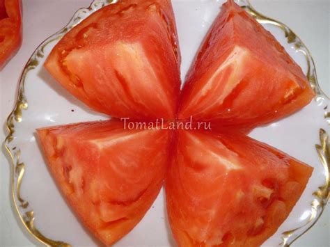 Томат Бельмонте: ОТЗЫВЫ (8), фото, описание | tomatland.ru