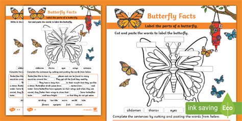 Butterfly Facts Worksheet - Primary Resources (teacher made)