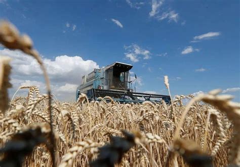 Eslovaquia Amplia La Prohibici N De Importar Grano Ucraniano Y La