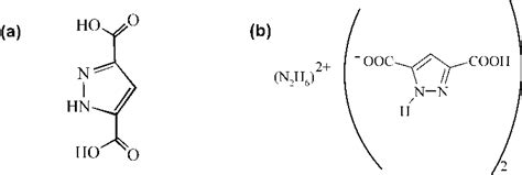 Molecular Structure Of A Pyrazoledicarboxylic Acid And B