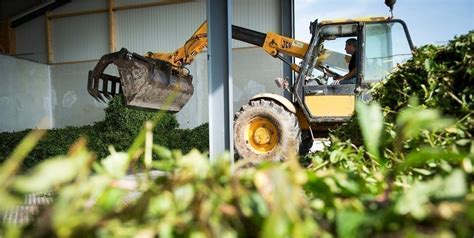 Présidentielle 2022 qu attendent les agriculteurs dans la Manche