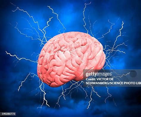 93 Brain Spark Stock Photos, High-Res Pictures, and Images - Getty Images