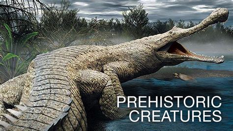 Watch Prehistoric Season 1 Prime Video