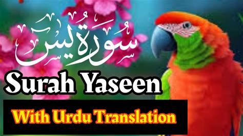 Surah Yaseen With Urdu Translation سورۃ یسین مکمل اُردو ترجمہ کیساتھ