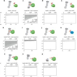 Ligand Selectivity Of The Upc Lbd A Structures Of Sterol Molecules