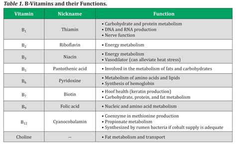 Vitamin Function Chart