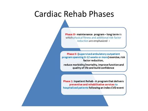 Cardiac Rehabilitation And Its Essential Role In The 43 Off