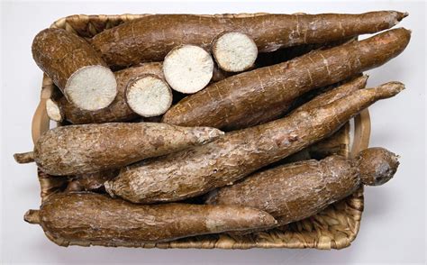 Is Cassava Safe To Eat Exploring Its Benefits And Risks